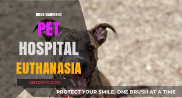 Does Banfield Pet Hospital Offer Euthanasia Services? Facts and Considerations