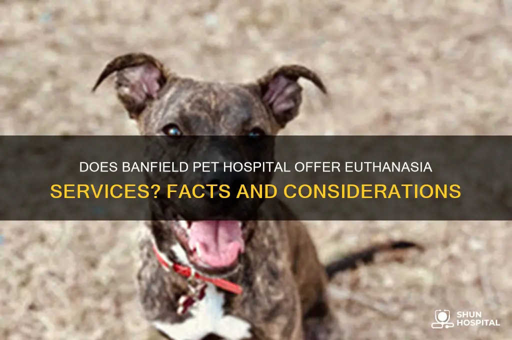does banfield pet hospital euthanasia