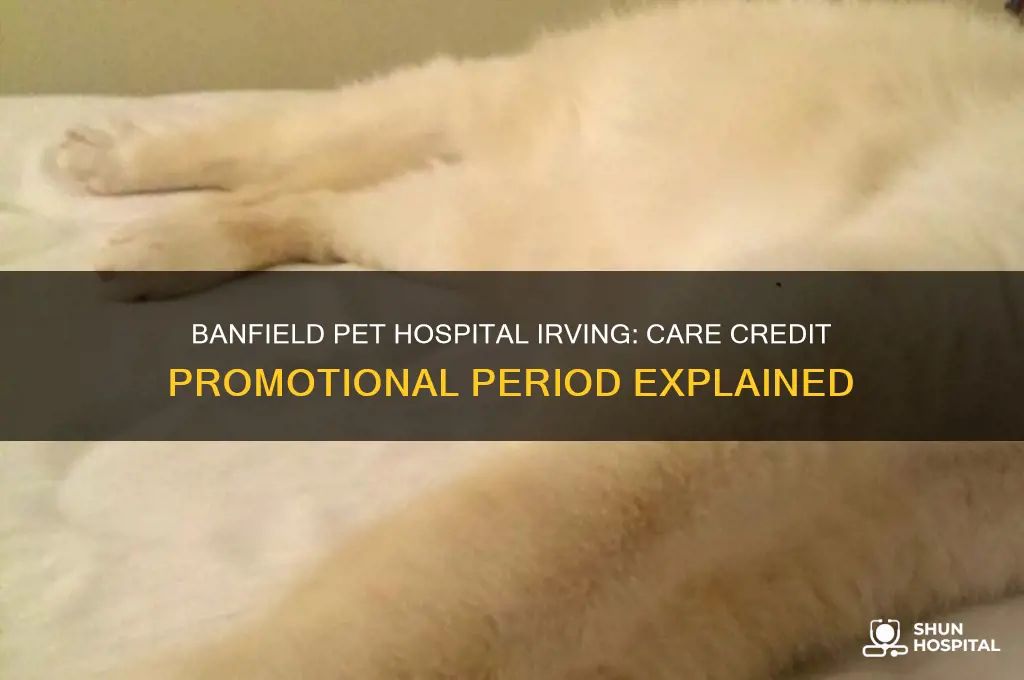 does banfield pet hospital irving promotional period for care credit