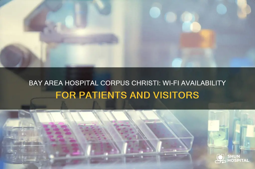 does bay area hospital in corpus christi provide wi fi