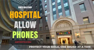 Bellevue Hospital Phone Policy: What You Need to Know