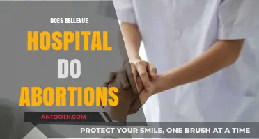 Bellevue Hospital Abortion Services: Facts, Access, and Patient Care Explained