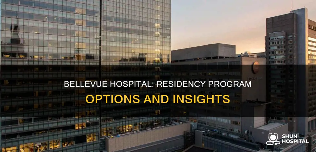 does bellevue hospital have a residency program