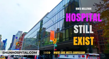 Bellevue Hospital Today: Still Standing and Serving New York City?