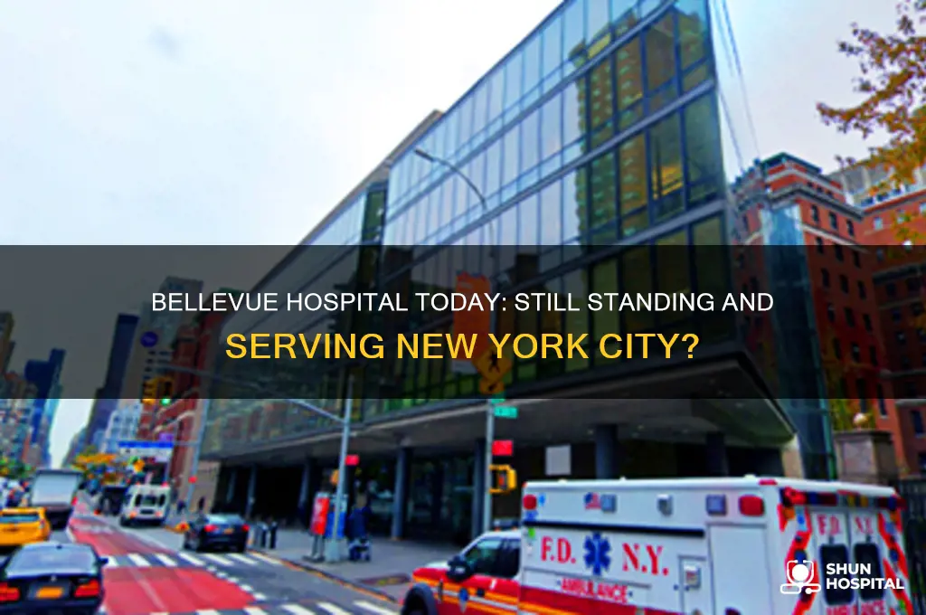 does bellevue hospital still exist