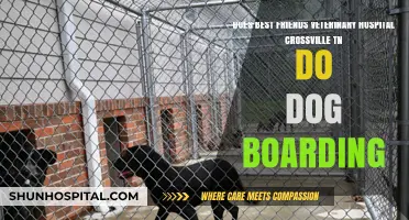 Dog Boarding at Best Friends Veterinary Hospital Crossville TN?