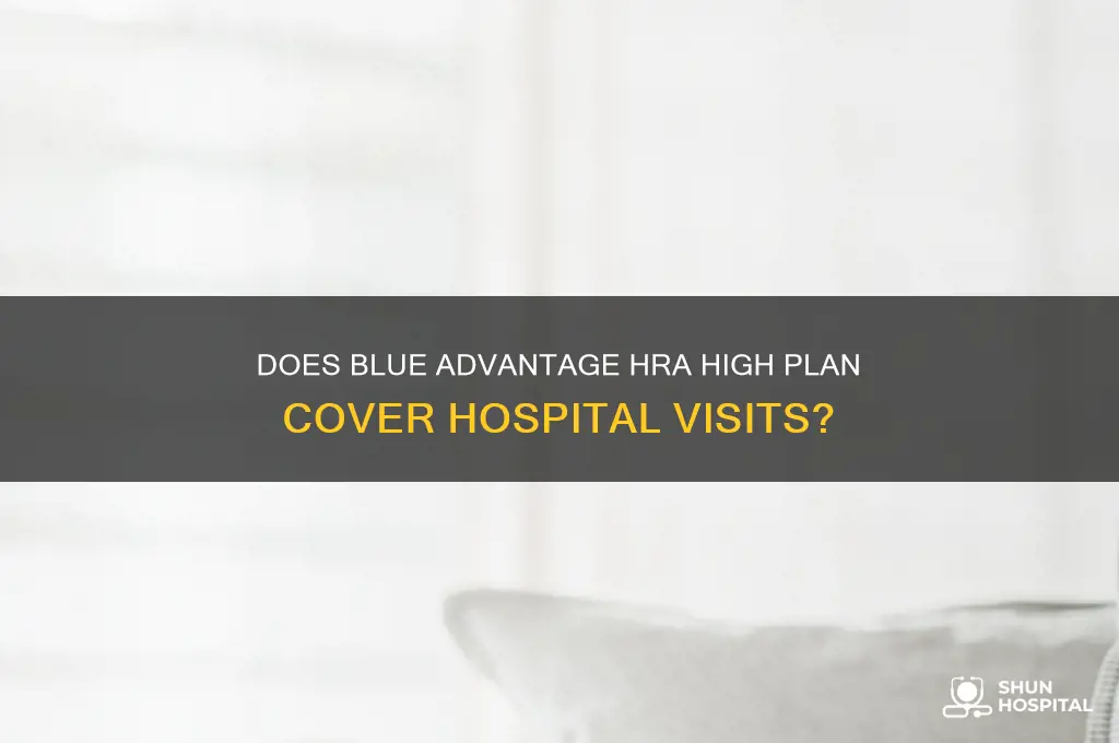 does blue advantage hra high plan covers hospital visits