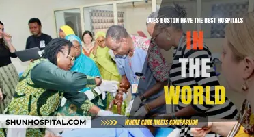 Boston's Healthcare Excellence: Are Its Hospitals the World's Best?