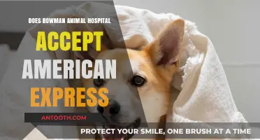 Bowman Animal Hospital: American Express Payment Options