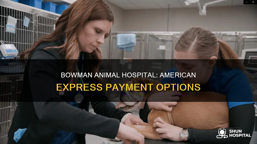 does bowman animal hospital accept american express