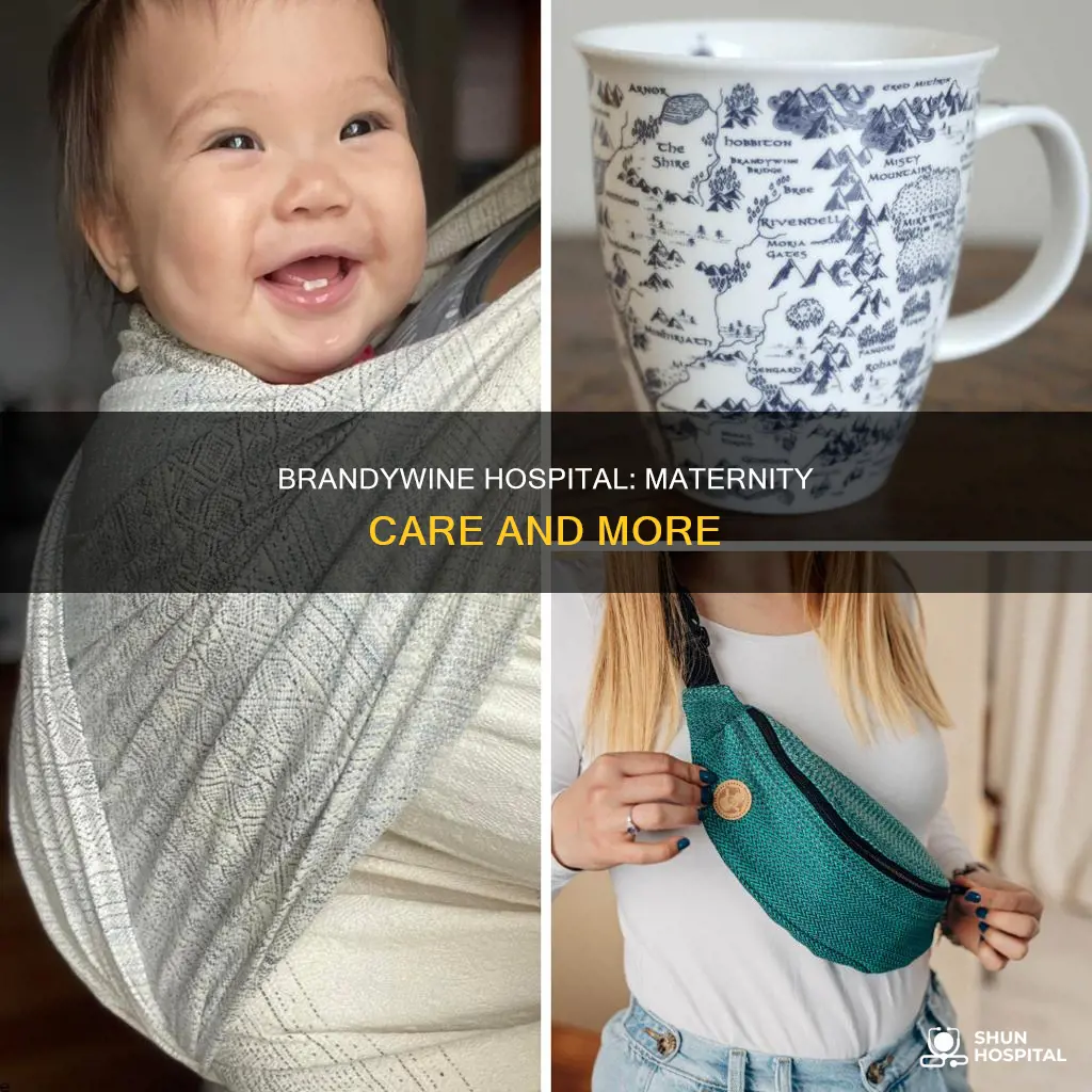 does brandywine hospital have a maternity department