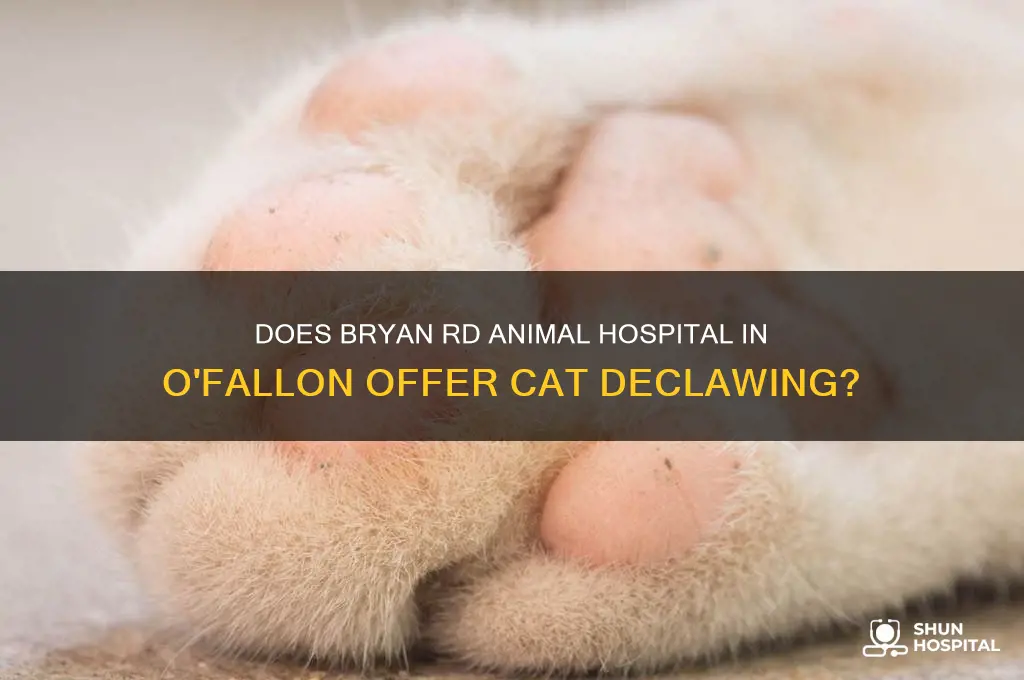 does bryan rd animal hospital in ofallon do cat declawing