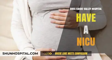 Cache Valley Hospital: Is There a NICU?