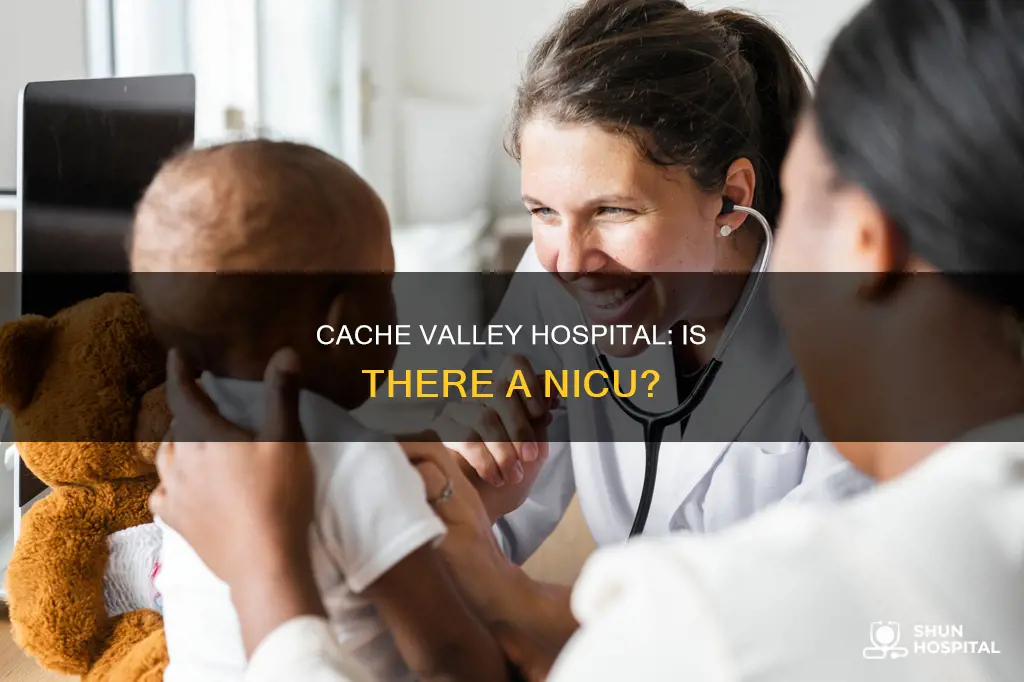 does cache valley hospital have a nicu