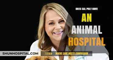 Cal Poly Animal Hospital: What's the Deal?