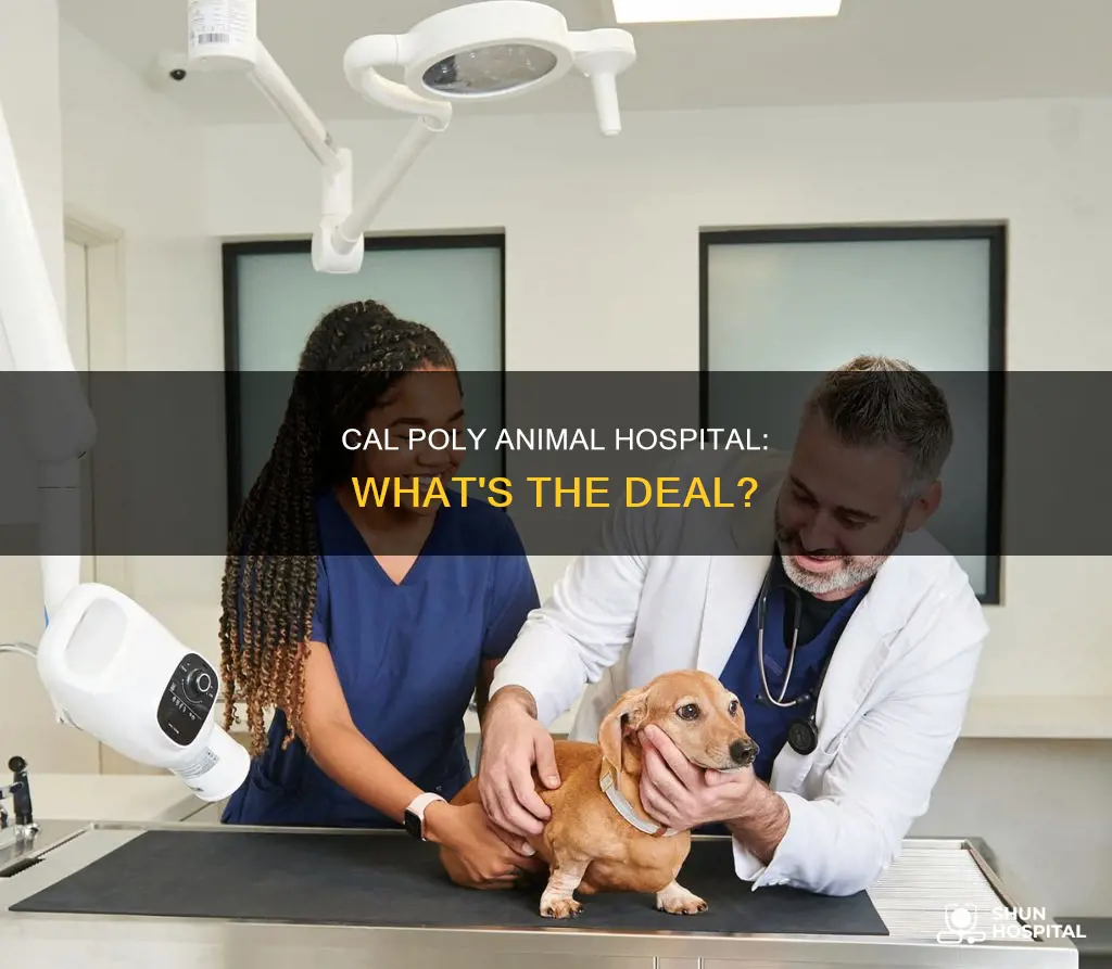 does cal poly have an animal hospital