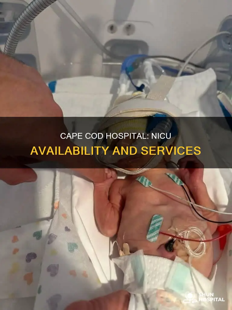 does cape cod hospital have a nicu