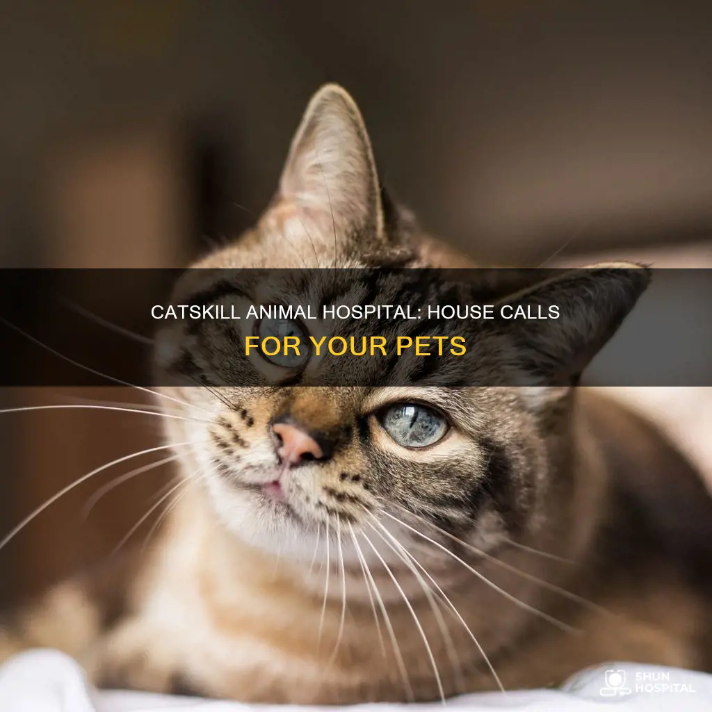 does catskill animal hospital do house visits