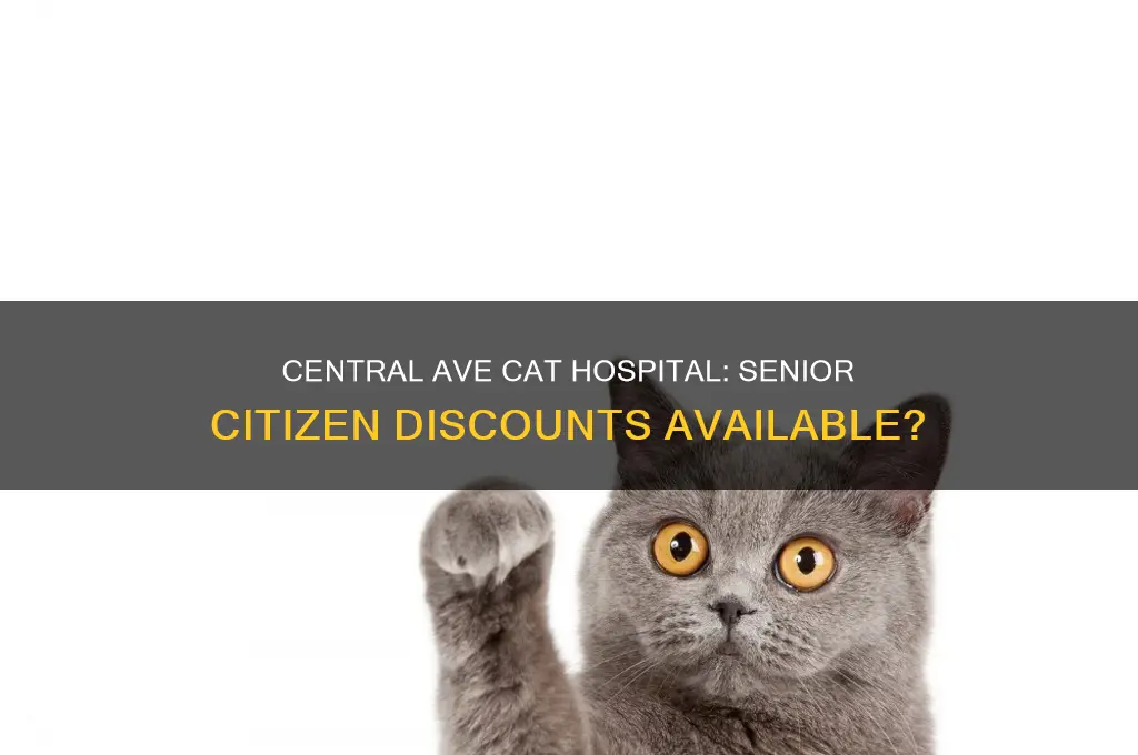 does central ave cat hospital give senior citizen discounts