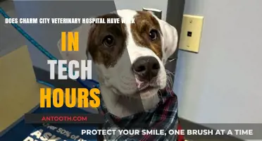 Charm City Veterinary Hospital Walk-In Tech Hours: What You Need to Know