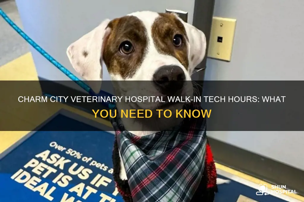 does charm city veterinary hospital have walk in tech hours