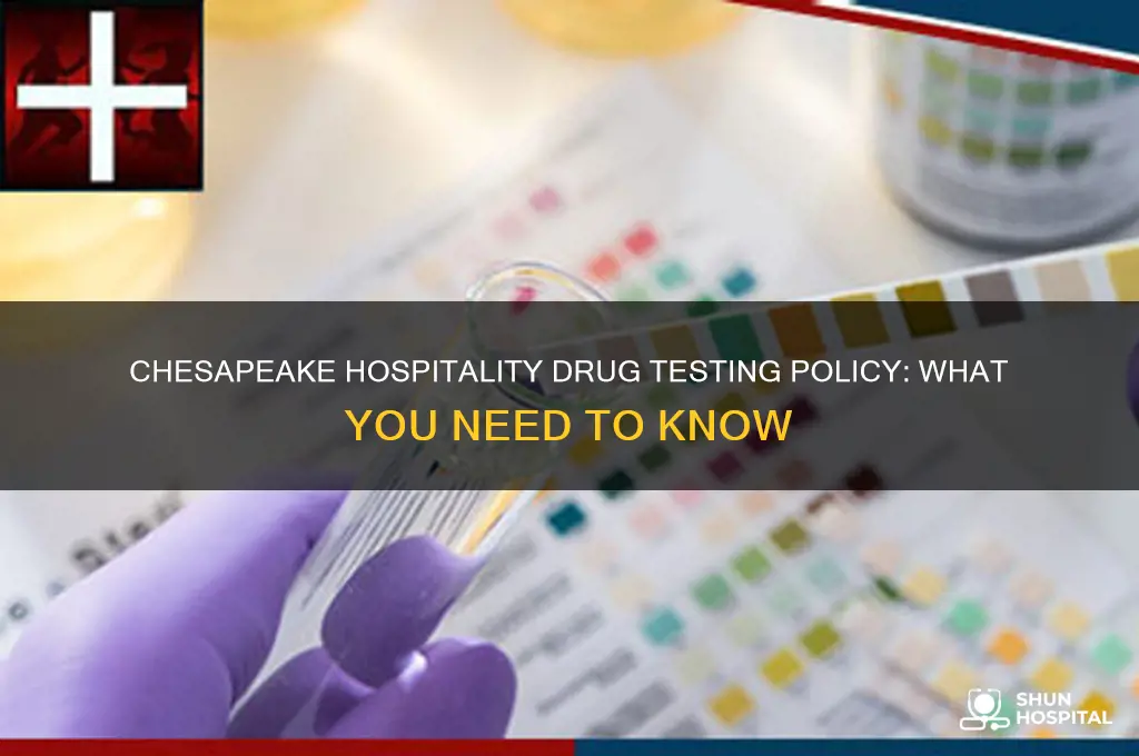 does chesapeake hospitality drug test