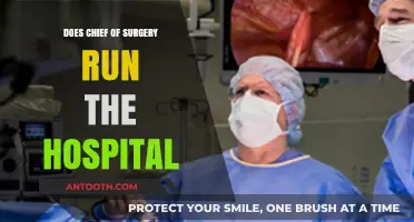 Who's in Charge? Chief of Surgery's Hospital Role Explored