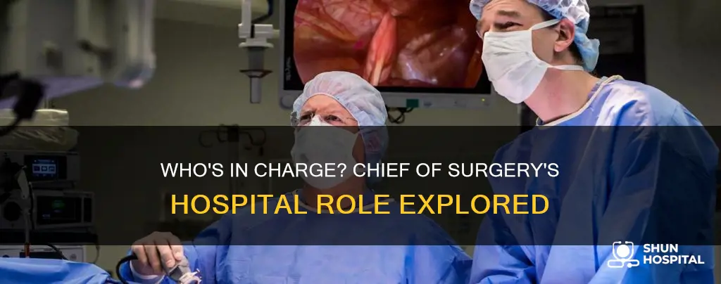 does chief of surgery run the hospital
