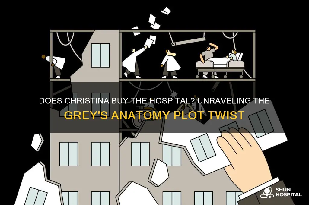 does christina buy the hospital