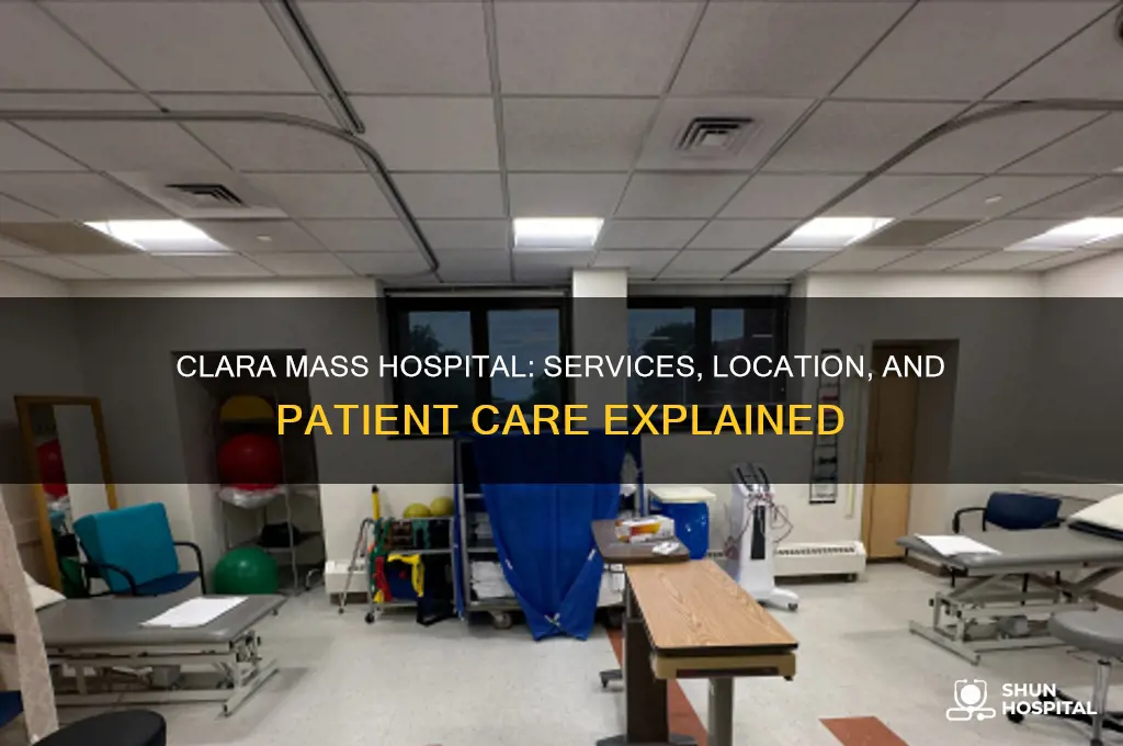 does clara mass hospital