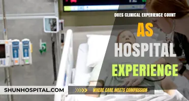 Clinical Experience: Hospital Experience Equivalent?