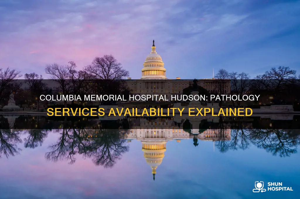 does columbia memorial hospital in hudson have a pathology