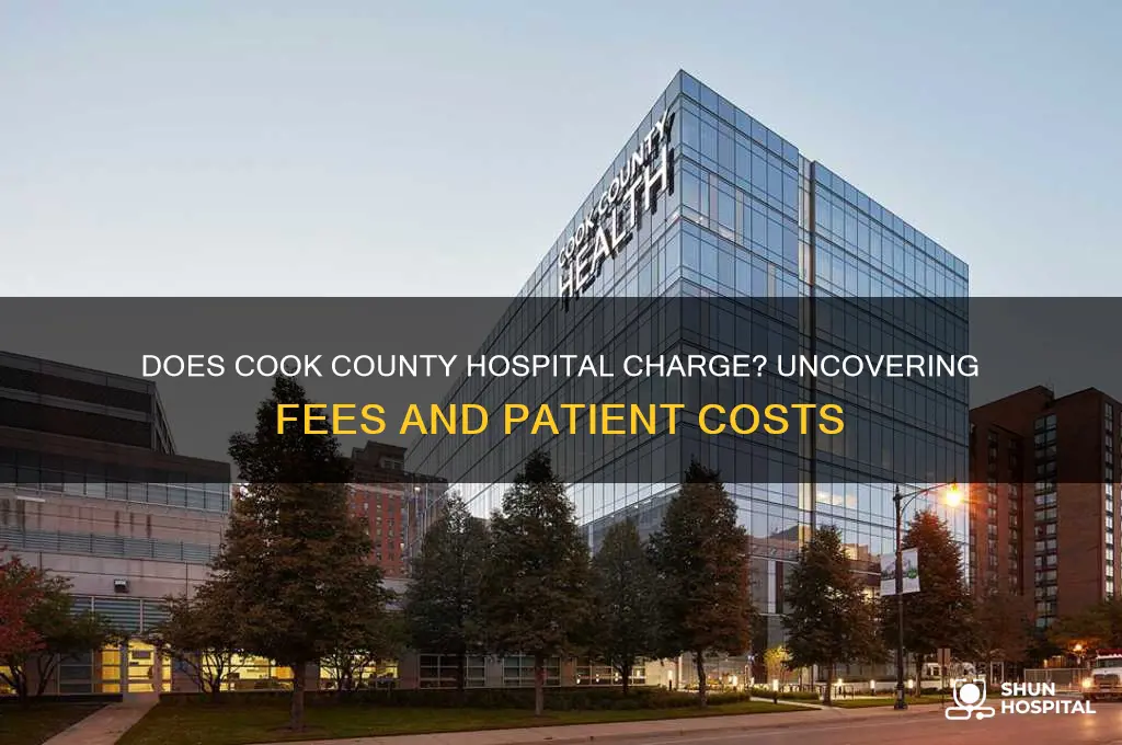 does cook county hospital charge