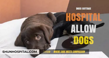Can Dogs Visit Patients at Cottage Hospital? Pet Policy Explained