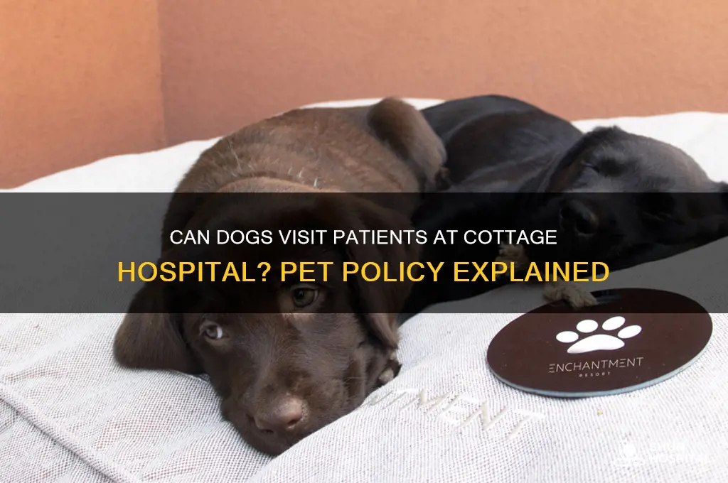 does cottage hospital allow dogs