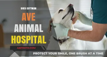 Cottman Ave Animal Hospital: Services, Reviews, and What to Expect