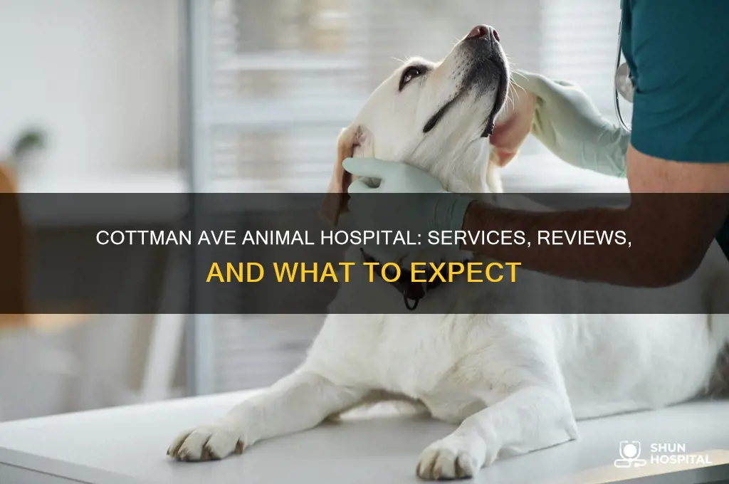 does cottman ave animal hospital