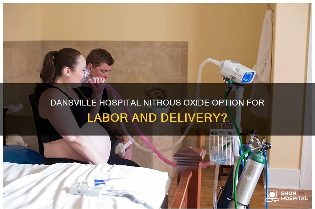 does dansville hospital do nitrous oxide for labor and delivery