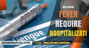 Understanding Dengue Fever: When Hospitalization Becomes Necessary for Recovery
