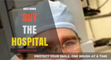 Does Derek Buy the Hospital? Unraveling Grey's Anatomy's Iconic Plot Twist