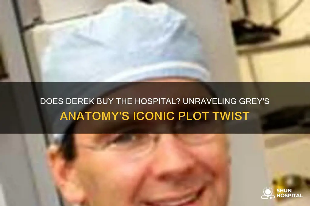 does derek buy the hospital