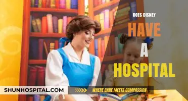 Exploring Disney's Healthcare: Does the Magic Kingdom Have a Hospital?