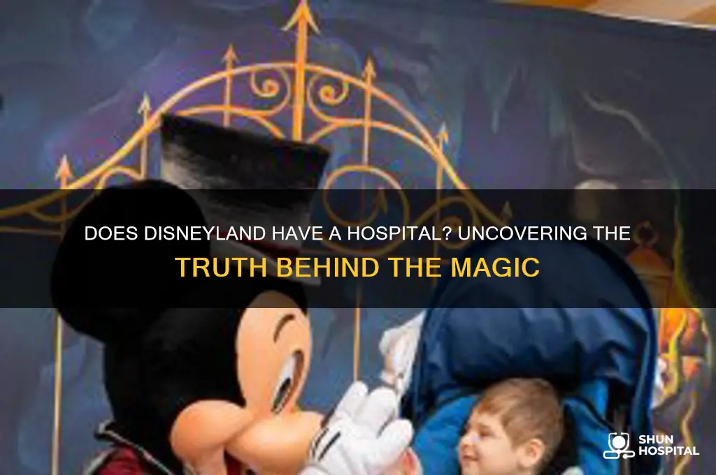 does disneyland have a hospital