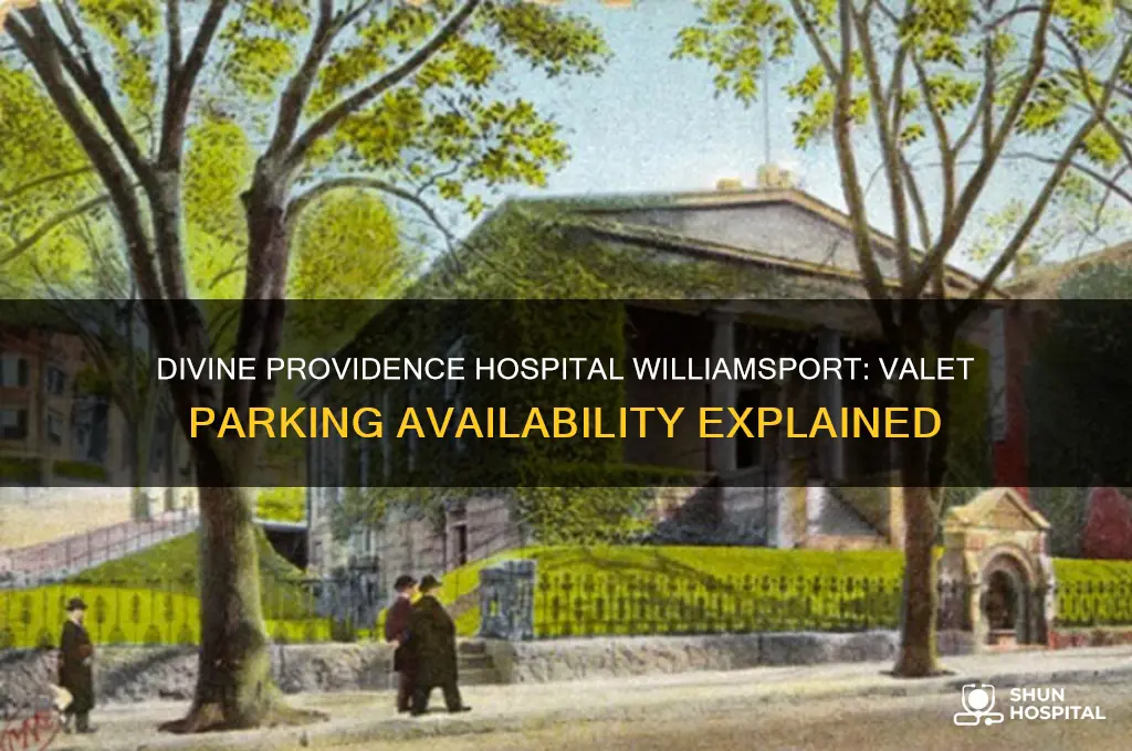 does divine providence hospital in williamsport have valet parking