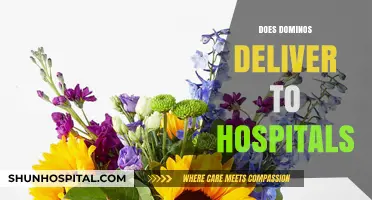 Does Domino's Deliver to Hospitals? Your Pizza Delivery Questions Answered