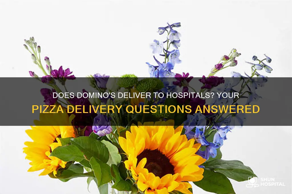 does dominos deliver to hospitals