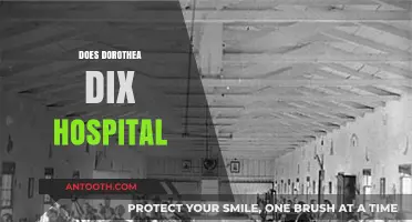 Exploring Dorothea Dix Hospital: History, Impact, and Modern-Day Legacy