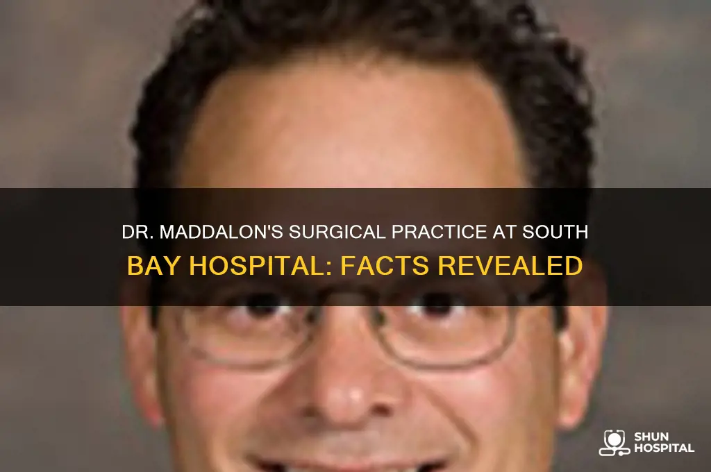 does dr maddalon do surgery at south bay hospital