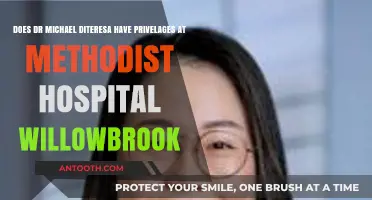 Dr. Michael Diteresa's Privileges at Methodist Hospital Willowbrook: Facts Revealed