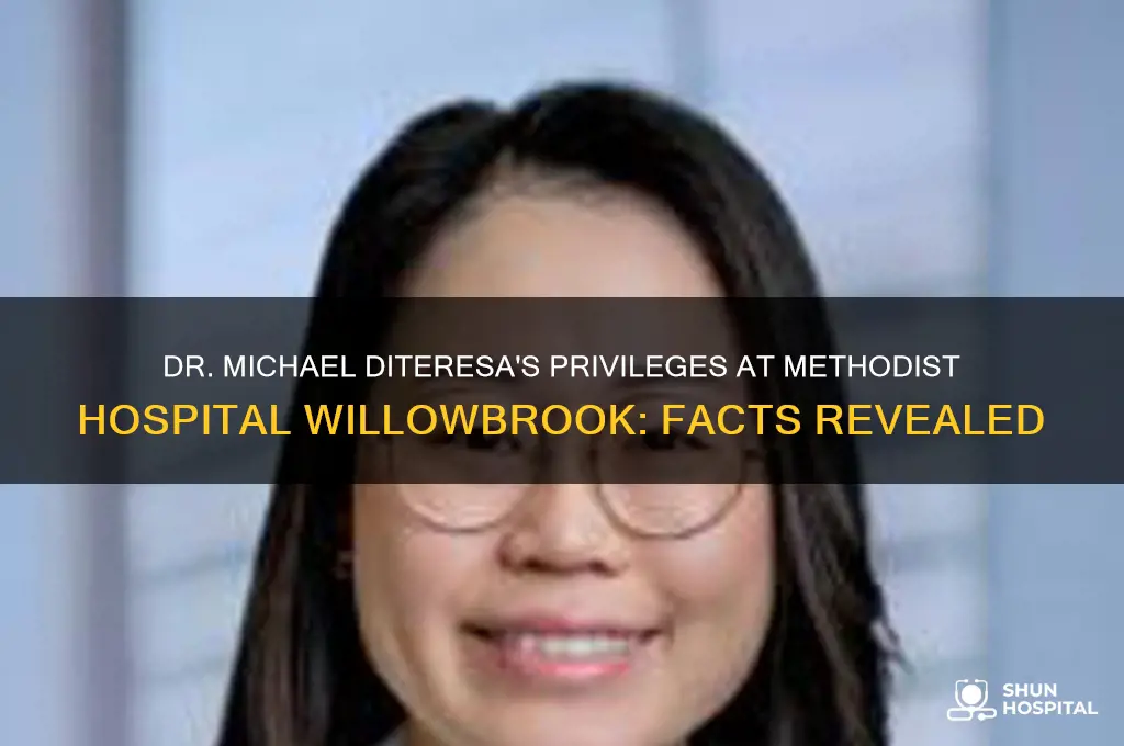 does dr michael diteresa have privelages at methodist hospital willowbrook